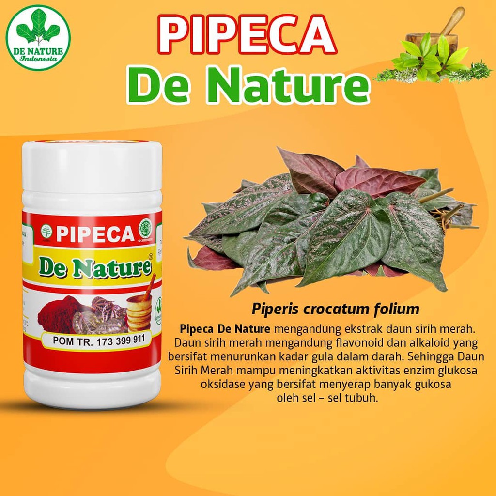 

Pipeca De Nature Ekstrak Daun Sirih Merah Antioksidan Herbal Ampuh