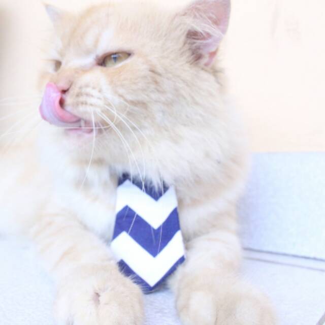 Long tie like a boss untuk kucing anjing / aksesoris hewan lucu / baju kucing terlaris