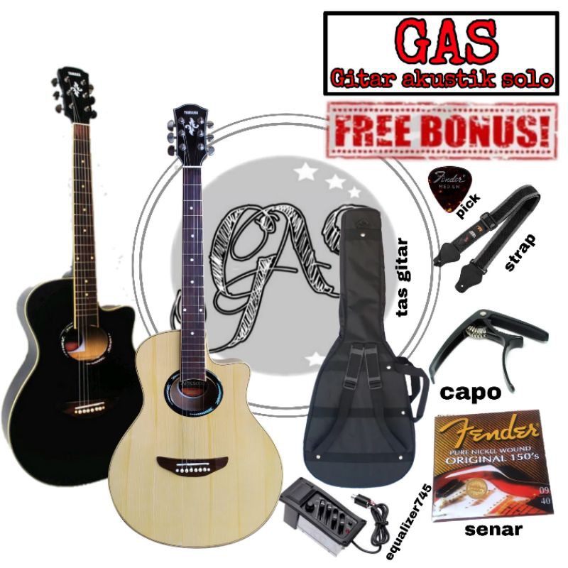 Gitar APX 500ii Custom / Gitar Custom APX