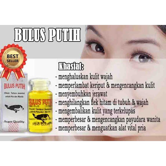 (COD) Minyak Bulus Putih Asli Original - Massage Oil Pembesar Payudara