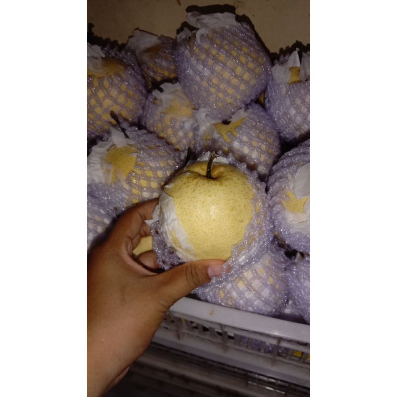 

pir madu