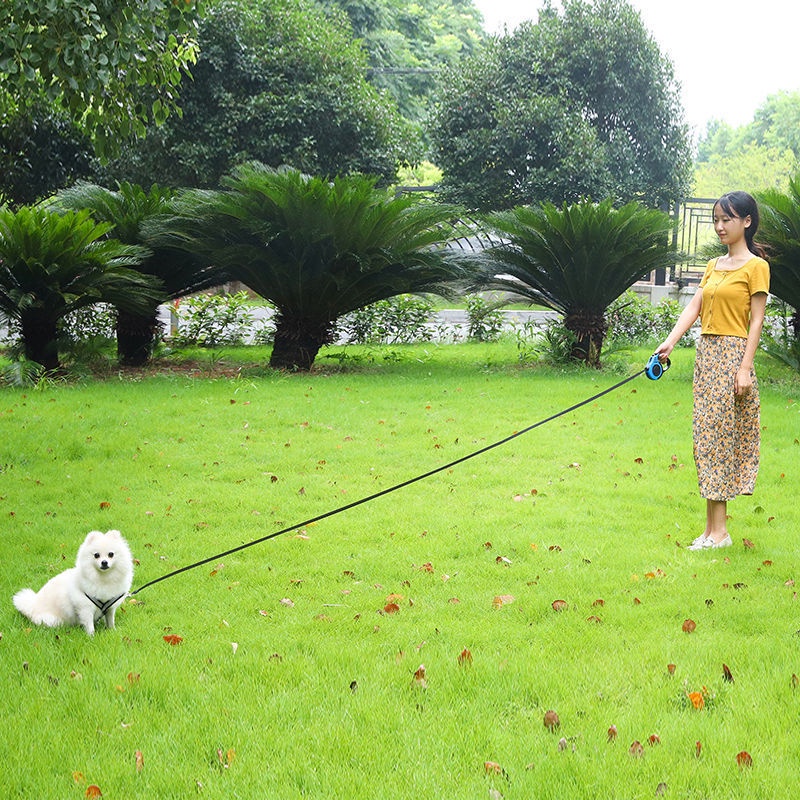 Tali Tuntun Kucing Retractable 3m Tali Harness Kucing Anjing  Aksesoris Hewan Peliharaan