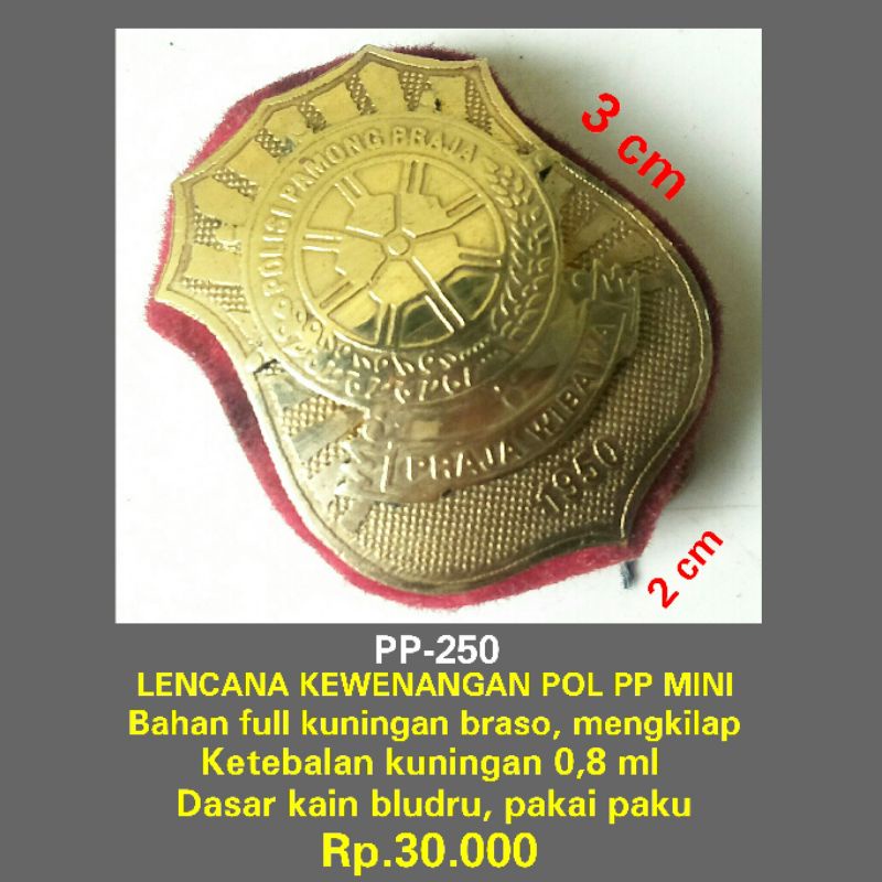 Jual pp-250 lencana kewenangan pol pp model polri kecil | Shopee Indonesia