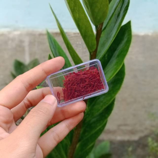 

Bunga Saffron Khasmir