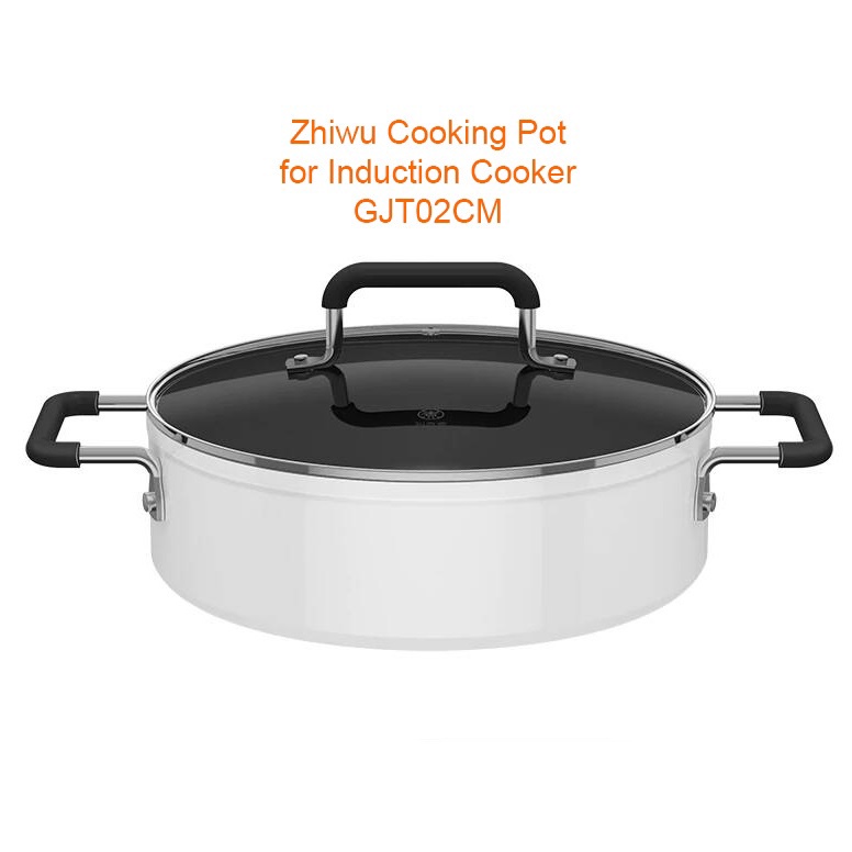 ZHIWU GJT02CM - Non-Stick Stock Pot with Lid - 4L Capacity