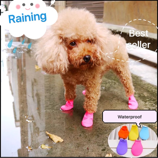 Paw rubber shoes atau sepatu anjing karet