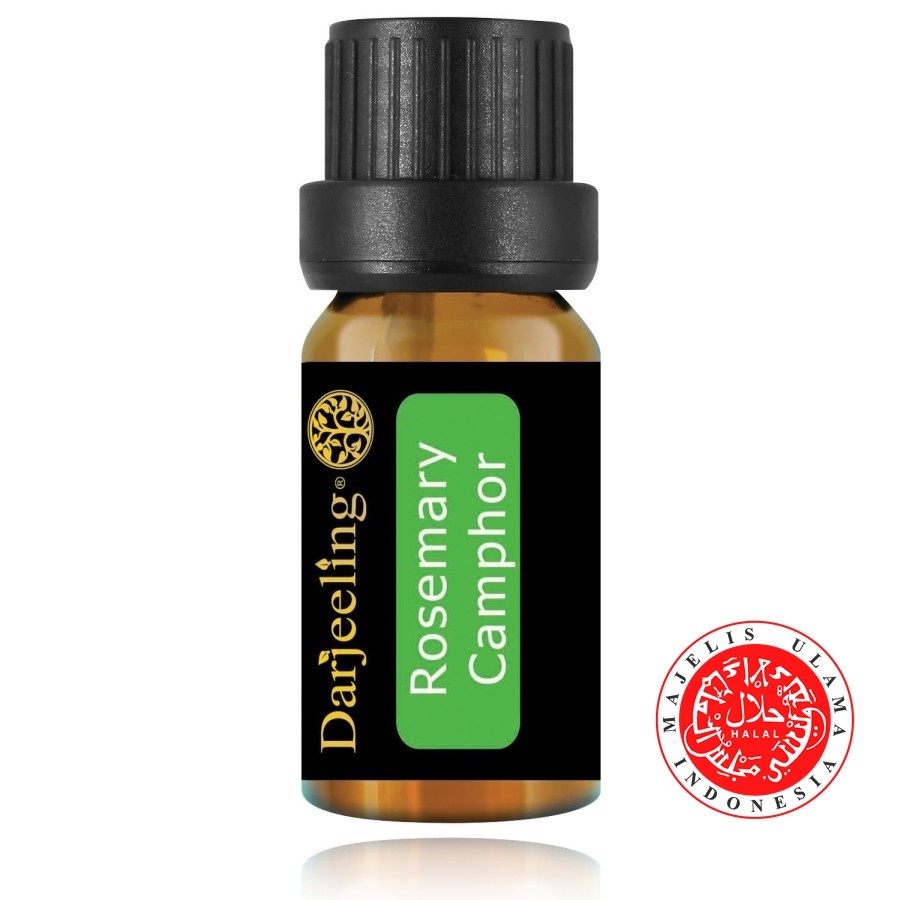 Jual 10ml Rosemary Essential Oil / Minyak Rosemary Indonesia|Shopee ...