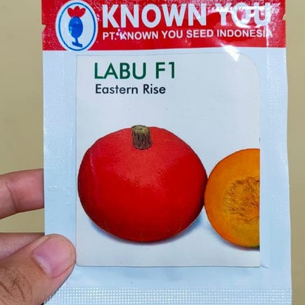 KYS - benih LABU MINI ORANGE EASTERN RISE isi 3 bj - kabocha - benih labu kabocha - known you seed