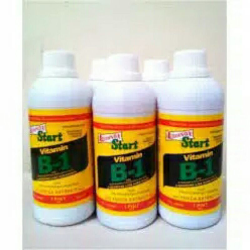 FITAMIN TANAMAN VIT B_1