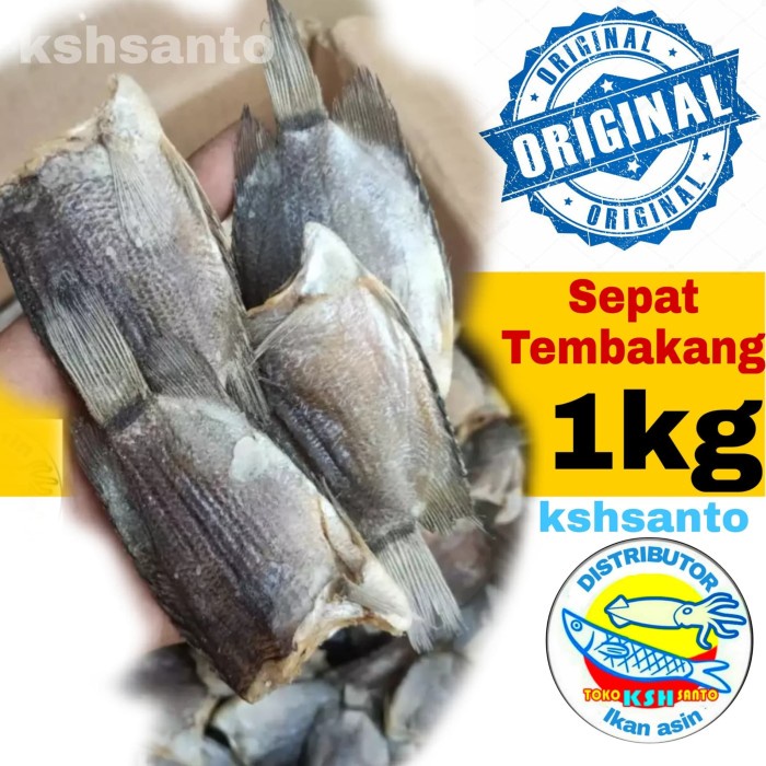 

ikan asin sepat tembakang-1kg