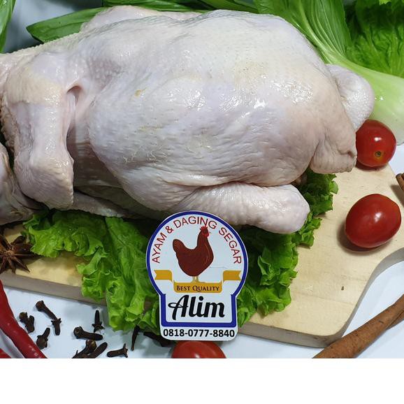

○ AYAM SEGAR ( EKORAN UTUH ) Berat 1.3 Kg WHOLE CHICKEN ◄