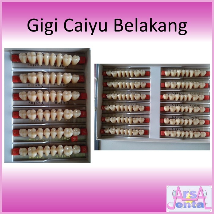 ✨ BISA COD ✨ GIGI PALSU CAIYU BELAKANG / GIGI TIRUAN MERK CAIYU - 22, A3