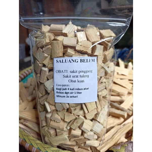 

AKAR SALUANG BELUM OBAT SAKIT PINGGANG SAKIT URAT TULANG NYERI OTOT