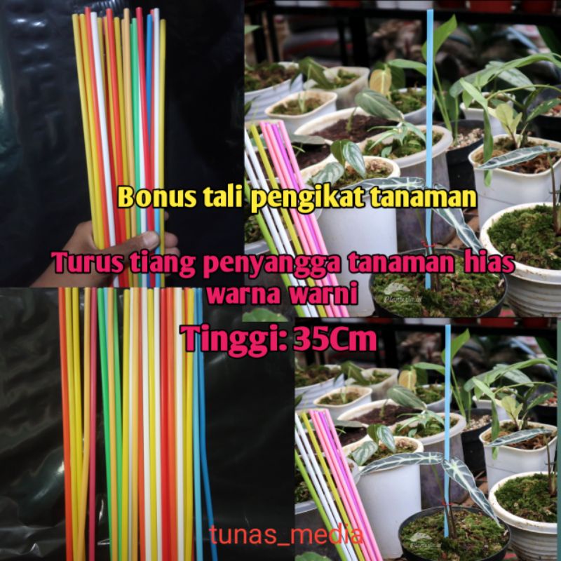 Turus Plastik Tanaman Hias Warna-Warni/Turus Penyangga Tanaman Hias Minimalis/Turus Tiang Penyangga 