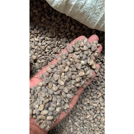 

Gayo Arabica - Proses Semiwashed - wet Hulled