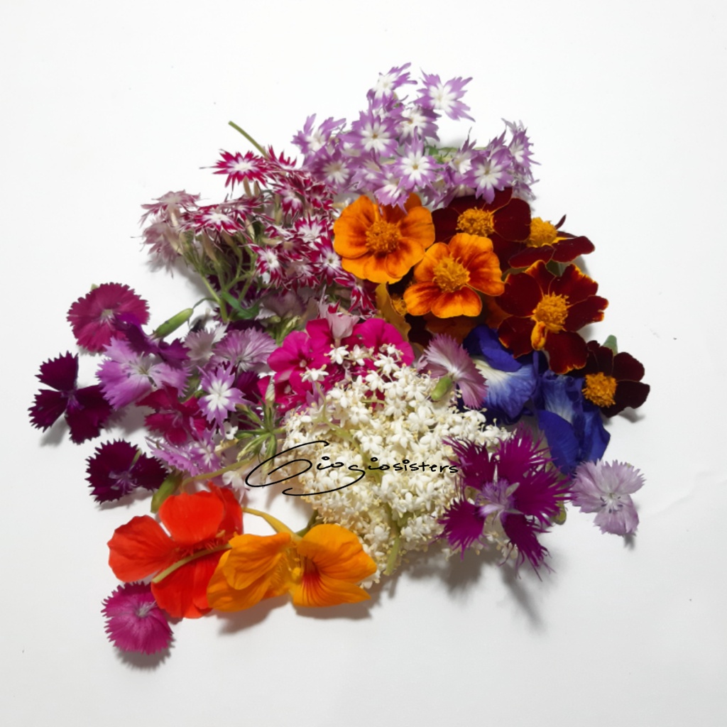 

Edible Flower | Flower Garnish | Fresh Flower Edible | Bunga Bisa di konsumsi