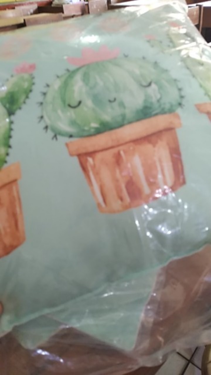 Bantal Sofa Cactus Tanaman Kaktus Set 40x40 Cm - Pusat Kado Murah