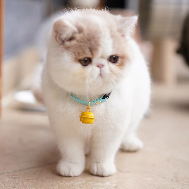 1 pcs Pet Bell Besar 22mm Cat Bell Dog Bell untuk Cat Collar Dog Collar Kualitas Tinggi Suara Bell Big Bell