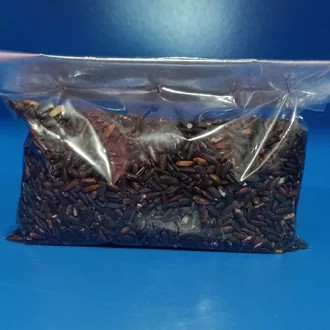 BERAS KETAN HITAM Pakan Burung beras hitam 1/2 kg ketan hitam