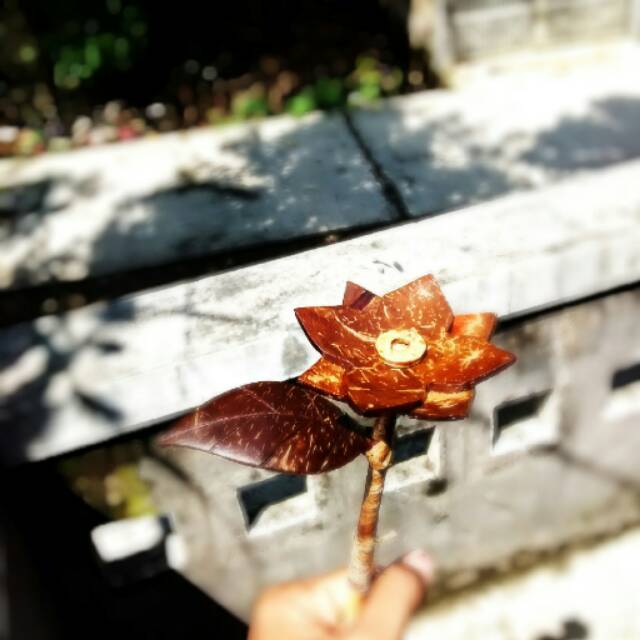 

Bunga Batok Kelapa
