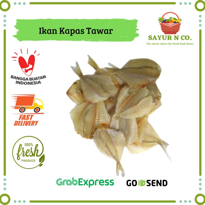 

Ikan Asin Kapas Kering | Sayur N Co Bekasi