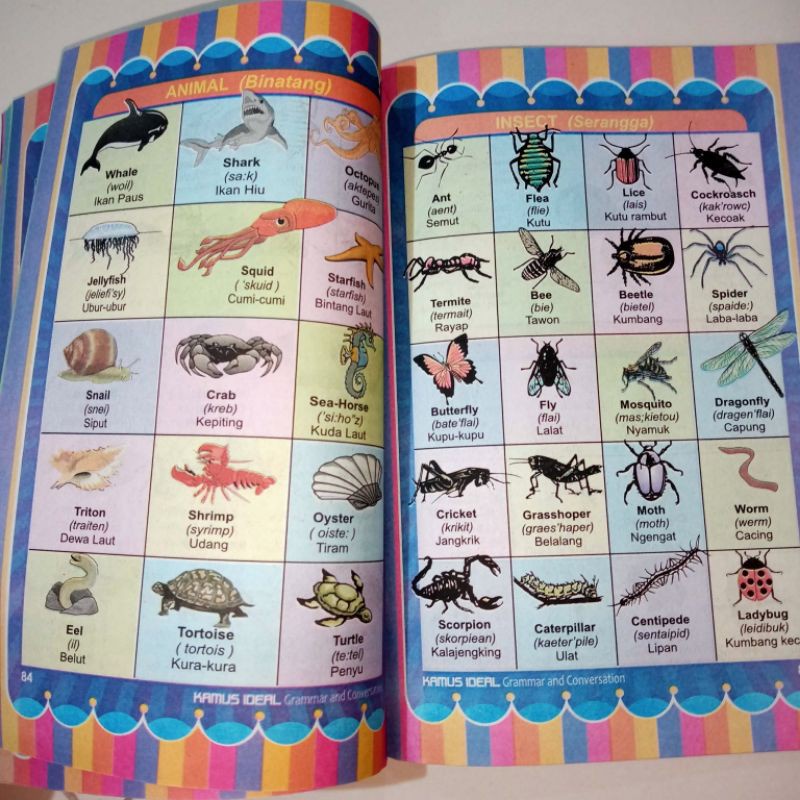 KAMUS IDEAL BERGAMBAR  KAMUS BAHASA INGGRIS-INDONESIA Grammar And Conversation Lingkar Media-1