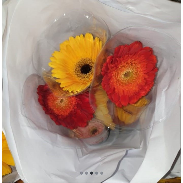 Image of Garbera Fresh Flower Bunga Potong Segar Tangerang Florist Supplier #3