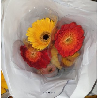 Image of thu nhỏ Garbera Fresh Flower Bunga Potong Segar Tangerang Florist Supplier #3