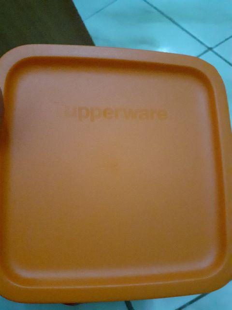 Wadah Serba Guna Small  Summer Ecer Yaa