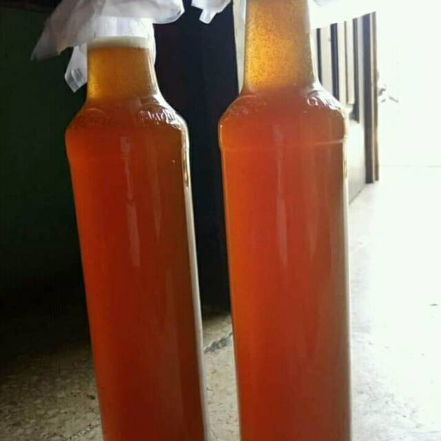 

Madu asli lebah liar sialang