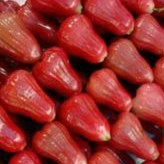 

jambi cincalo merah /jambu citra fresh manis per 1 kg
