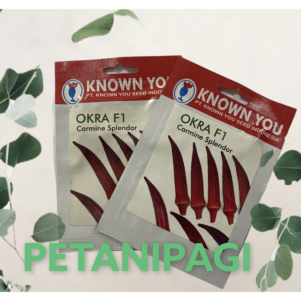 benih bibit okra merah carmine splendor known you seed - kys