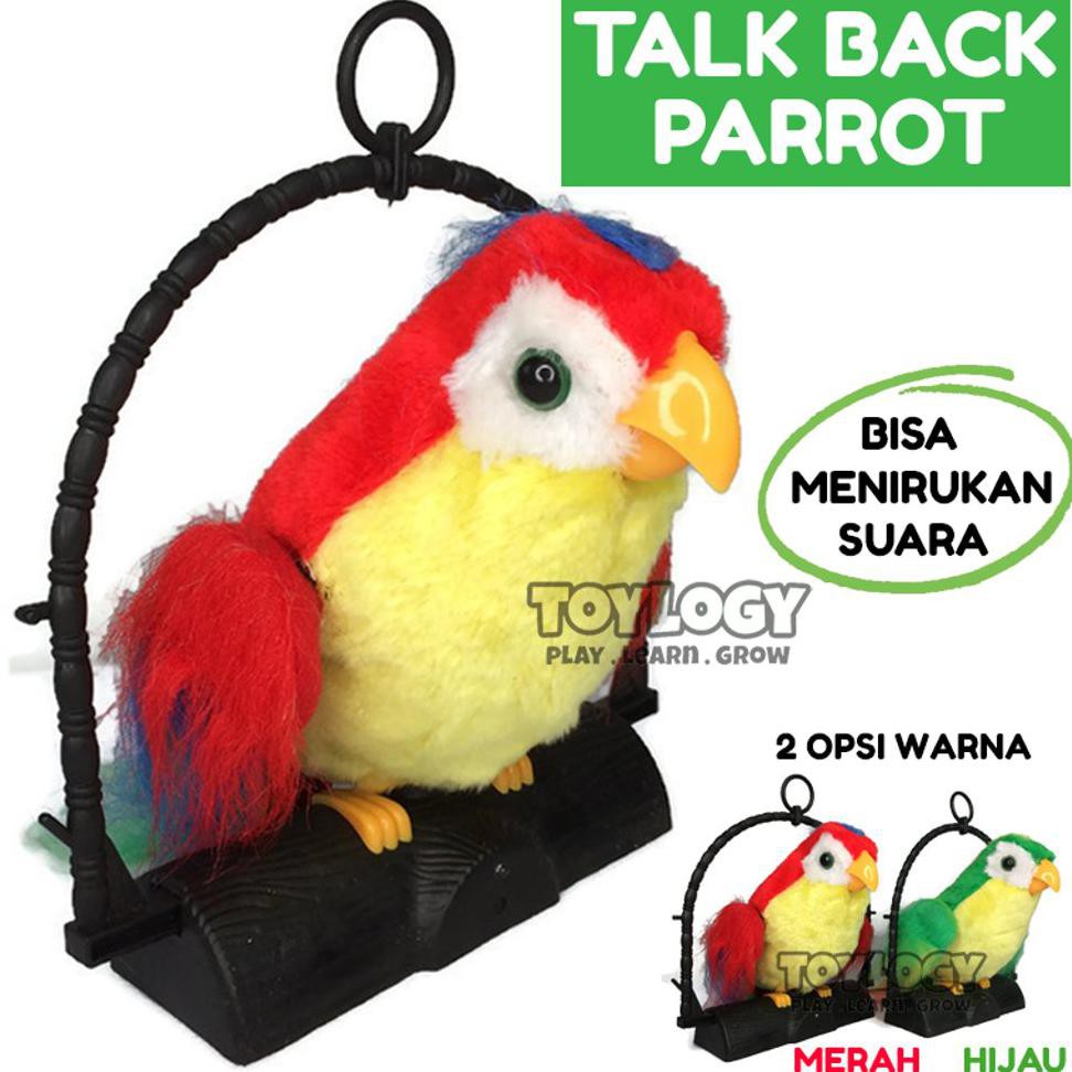 talk back parrot