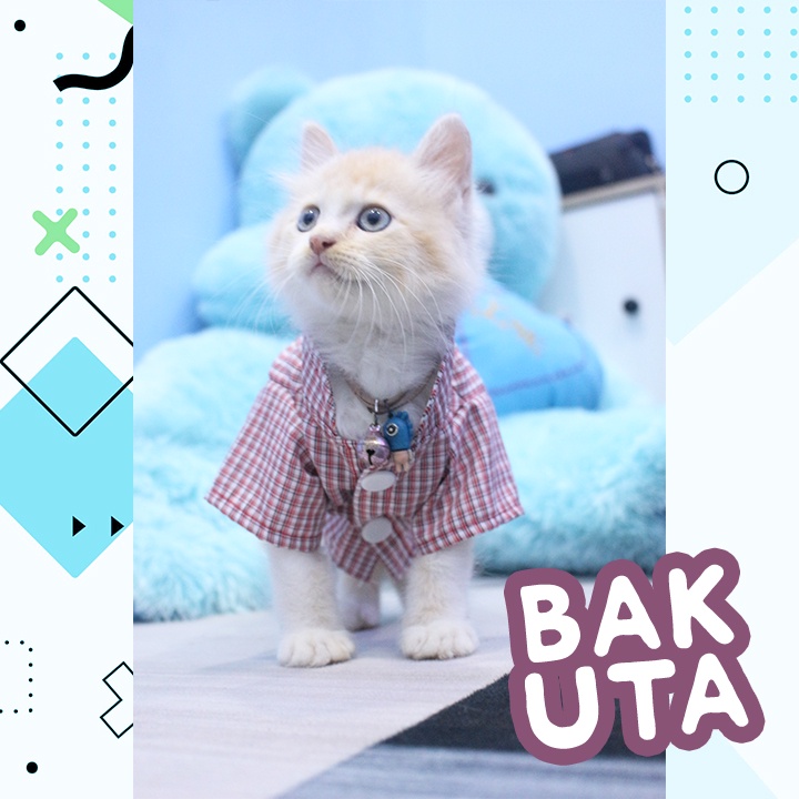 Bakuta - Baju Koko Kucing Lebaran Terlaris Sepanjang Massa / Baju kucing Harga Spesial Size S-XL