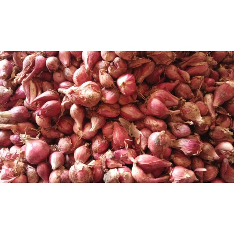 

BAWANG MERAH 250gr