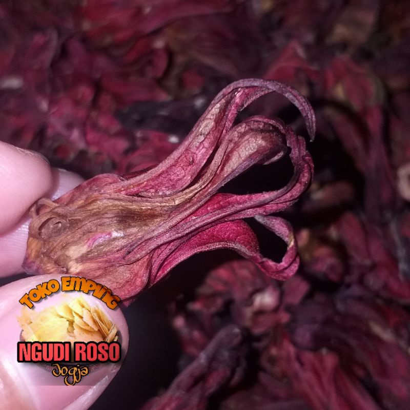 

BUNGA ROSELLA MERAH UNTUK ASAM URAT & KEKEBALAN TUBUH