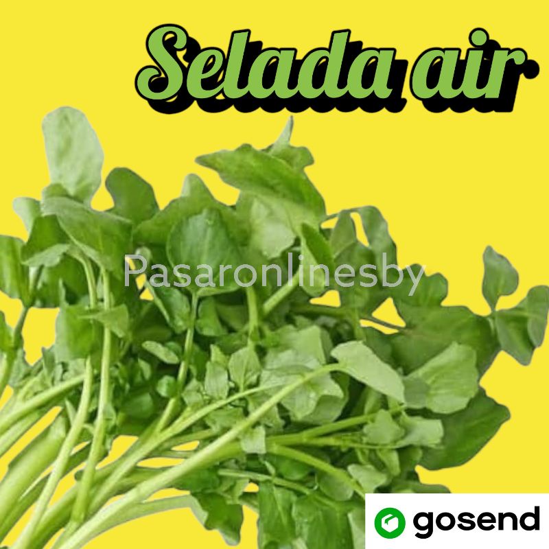 

PASAR GUBENG - Selada air - Per Ikat