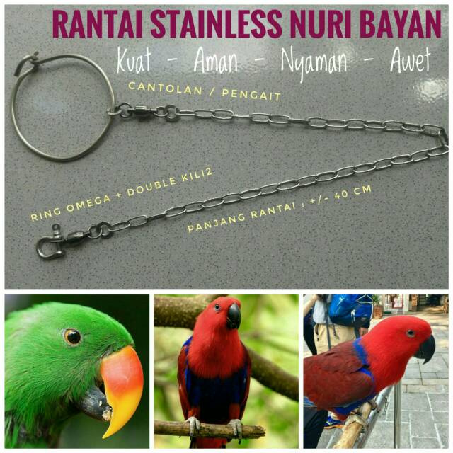 Jual Rantai Stainless Nuri Bayan Shopee Indonesia