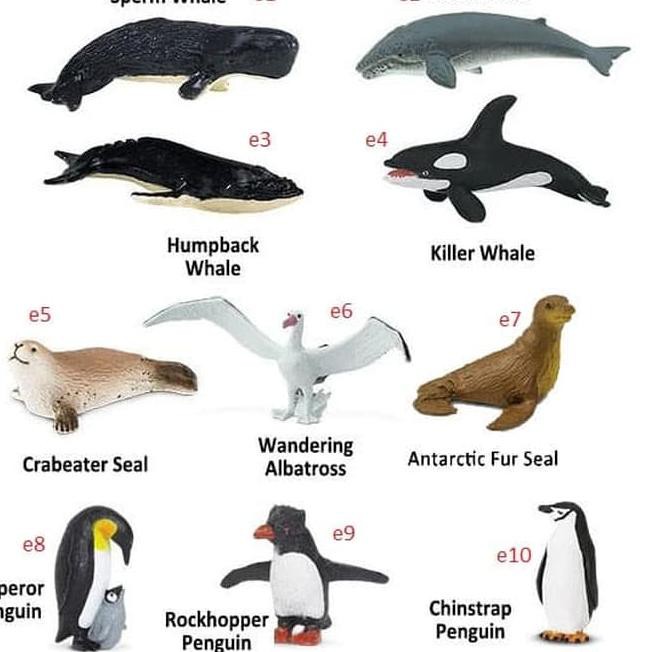 N E W Mainan Hewan Binatang Laut Ikan Hiu Paus Lumba Anjing