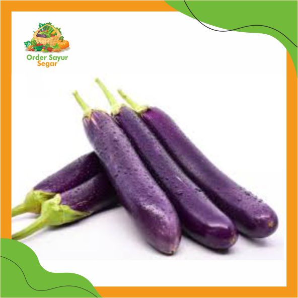 

Terong Ungu -Sayur Segar -Sayur Fresh