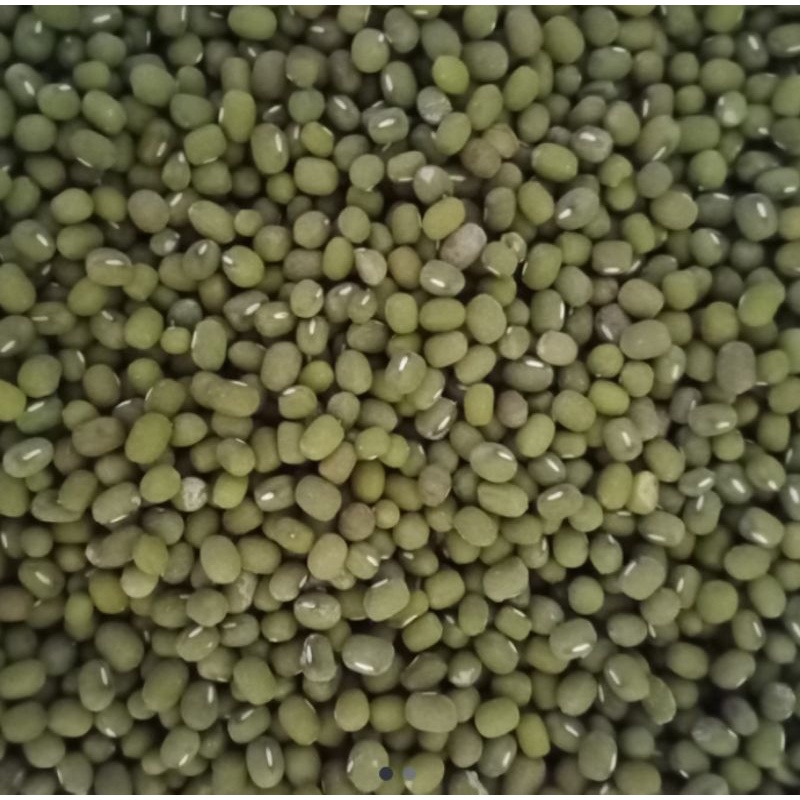 

kacang hijau lokal kebumen 1kg