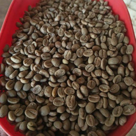 

250 gr green bean Arabica petik merah full wash proses