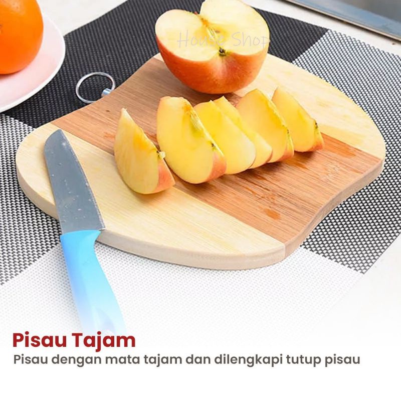 Pisau dapur stainless tajam Pisau buah murah