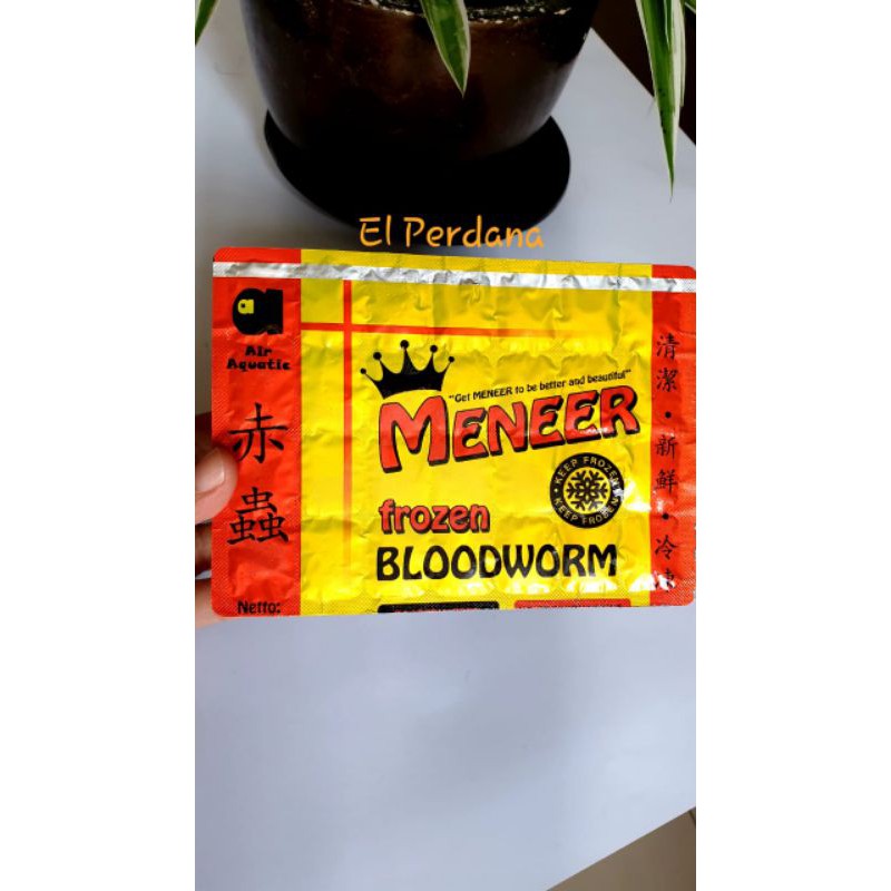 Cacing Beku / Frozen Bloodworm Meneer