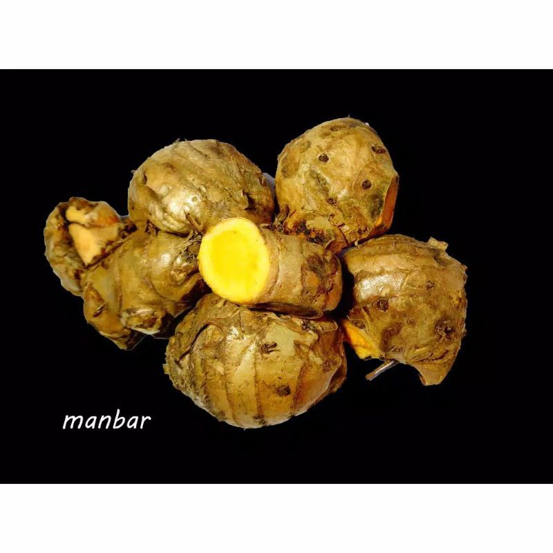 

TEMU LAWAK SEGAR 1KG-KONENG GEDE