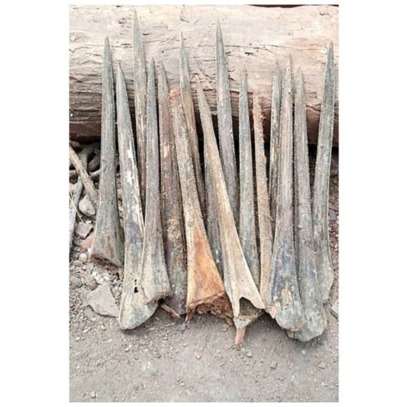 bahan once moncong/cucuk marlin super tebal super murah