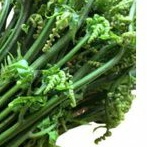 

daun pakis sayur sggsr