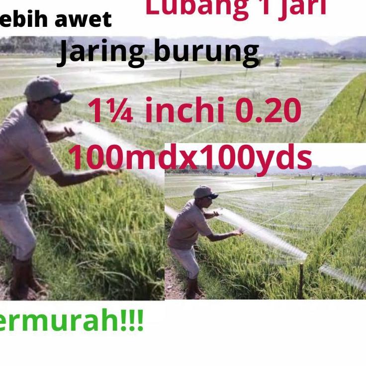Diskon Istimewa Jaring burung sawah  lubang 1 jari jaring burung emprit jaring burung pipit jaring p