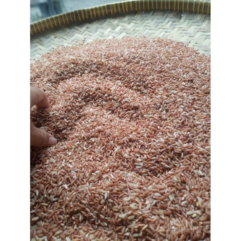 

Beras merah organik lokal 5 kilo
