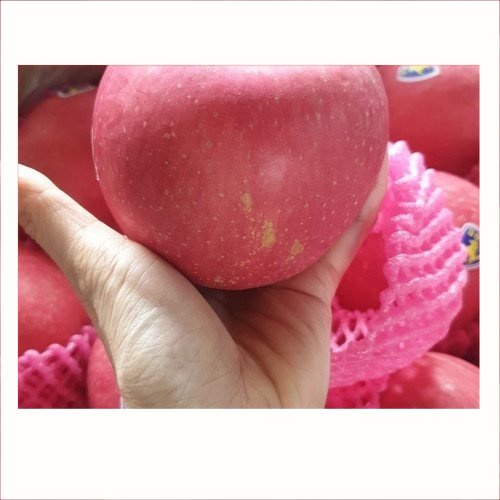 Buah Apel Fuji / Apel Pink | Buah Segar 1Kg | Pasar Induk Pekanbaru #Harga_Grosir